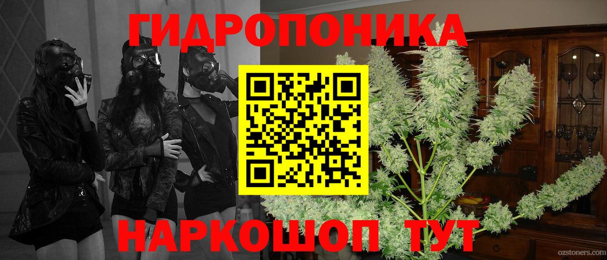 Бошки марихуана THC 21% Будённовск